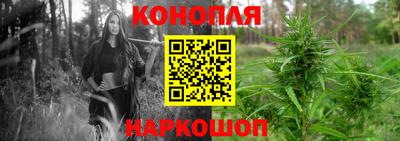 ГАЛЛЮЦИНОГЕННЫЕ ГРИБЫ Свободный