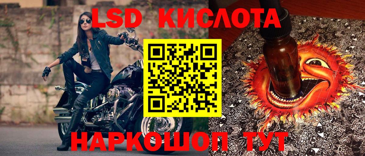 Псилоцибиновые грибы Орехово-Зуево