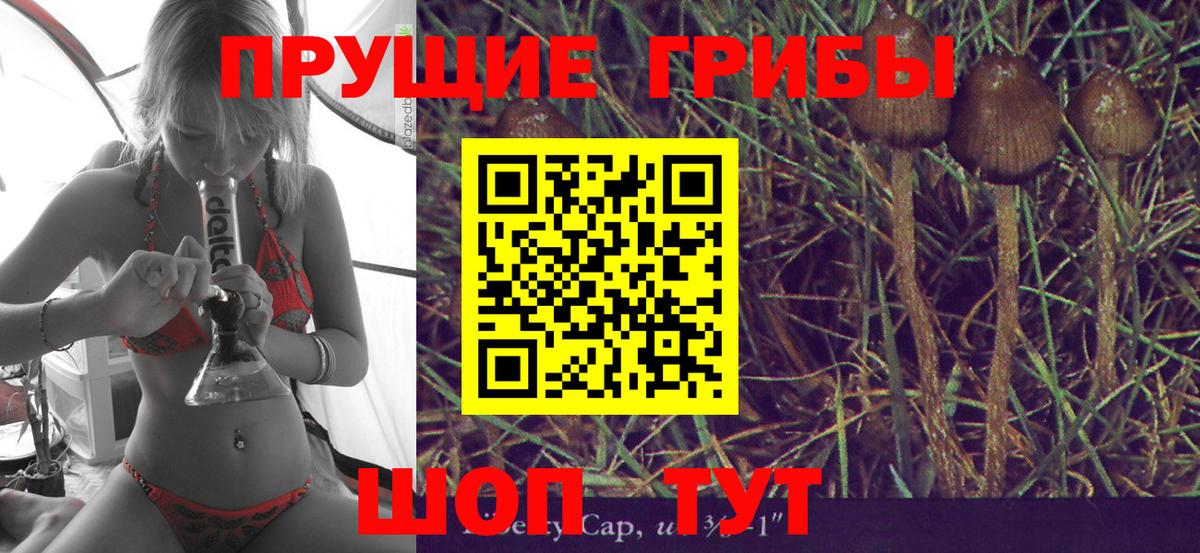 Орехово-Зуево  продажа наркотиков  Вход с VPN  Псилоцибиновые грибы мицелий  Псилоцибиновые грибы ЛСД 