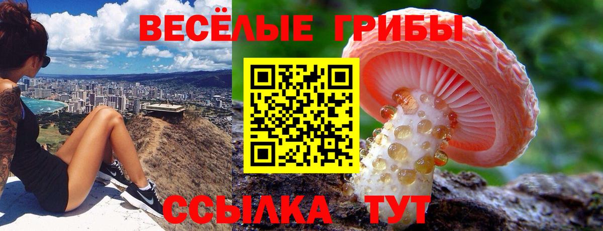 Псилоцибиновые грибы ЛСД Орехово-Зуево